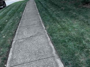 James C.'s Lawn Care service result