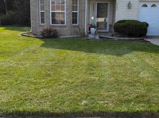 Phyllis F.'s Lawn Maintenance service result