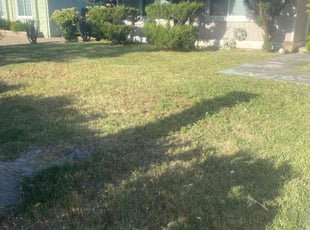Weeding by Michael Leftridge for Trinity L. in Concord, CA