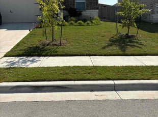 James E B.'s Lawn Mowing Service service result