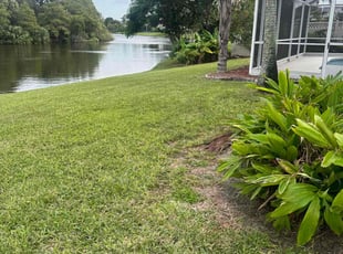 Corrlin P.'s Lawn Maintenance service result
