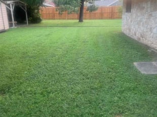 Chase N.'s Lawn Mowing Service service result
