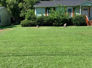 Hannah p.'s Yard Cutting service result