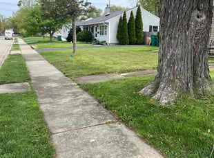 David P.'s Lawn Service service result