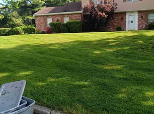 Bryant C.'s Grass Cutting service result