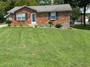 Jasmine L.'s Yard Cutting service result
