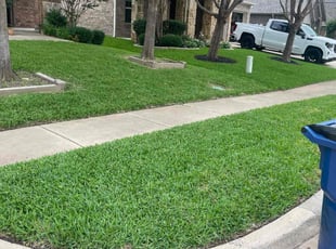 Jason B.'s Lawn Mowing Service service result