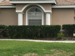 Bush Trimming by Daniel Jordan for Dan P. in Oldsmar, FL