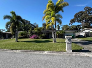 NikiA B.'s Lawn Care service result