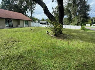 Crystal J.'s Lawn Mowing service result