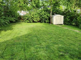 Frederica M.'s Lawn Service service result