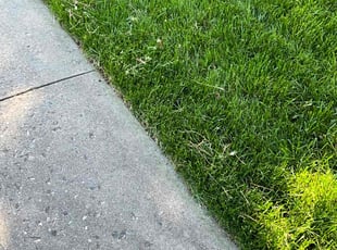 Lia E.'s Lawn Care service result