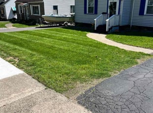 David M.'s Yard Cutting service result