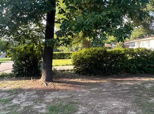 Bush Trimming by Kevin Sumner for Dave B. in Fayetteville, NC
