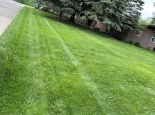 Thomas G.'s Lawn Mowing service result