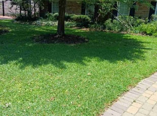 Robert L.'s Lawn Maintenance service result