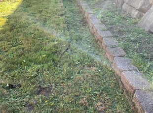 Amberlynn D.'s Lawn Mowing service result