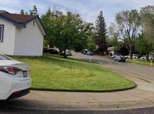 Deborah S.'s Lawn Service service result