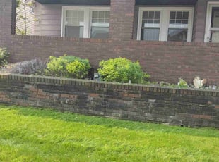 Bush Trimming by Anthony Coleman for Dwanda J. in Garfield Heights, OH