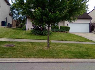 Ingrid P.'s Lawn Care service result