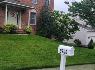 Raymond T.'s Lawn Mowing service result