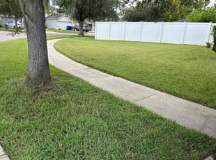 Jeffrey M.'s Lawn Care service result