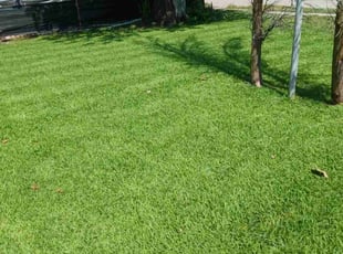 Penelope B.'s Lawn Care service result