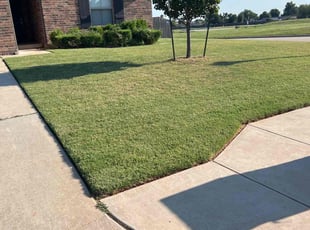 Darlene V.'s Lawn Care service result