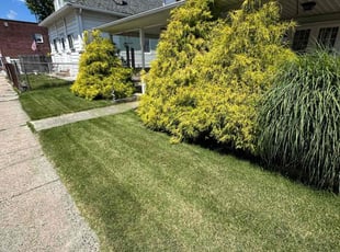 Dana D.'s Lawn Maintenance service result