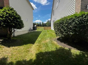 Dawn B.'s Lawn Mowing service result