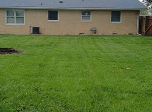 Darryl A.'s Lawn Mowing Service service result