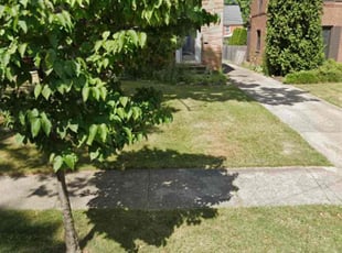 Weeding by Courtney Ellington for Isaac Y. in University Heights, OH