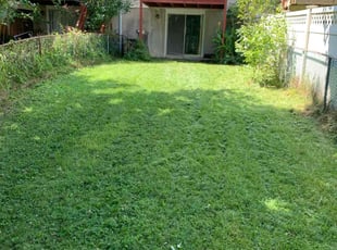 Dorothy C.'s Lawn Mowing Service service result