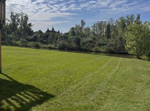 Tara B.'s Lawn Care service result