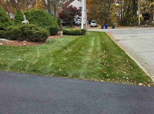 Retda b.'s Lawn Care service result