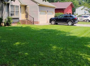 Cassandra C.'s Lawn Mowing service result