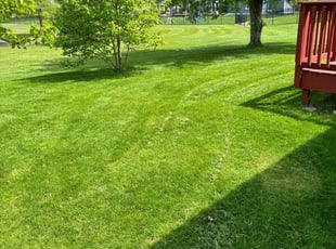 Yolande M.'s Grass Cutting service result
