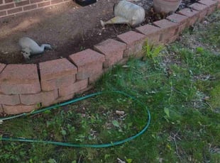 Weeding by Christopher Rhyne for Andres R. in Madison, WI