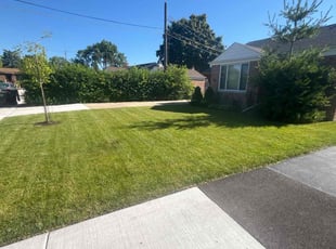 Patricia P.'s Lawn Care service result
