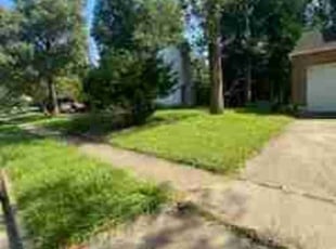 Suzette H.'s Lawn Mowing Service service result
