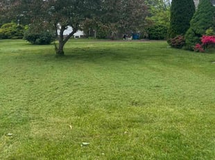 Shweta K.'s Lawn Care service result