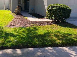 Marissa W.'s Grass Cutting service result