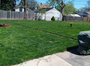 Jose R.'s Lawn Maintenance service result