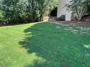 Marci B.'s Lawn Maintenance service result