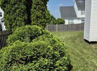 Bush Trimming by Ronnie Stovall for Joyce J. in Plainfield, IL