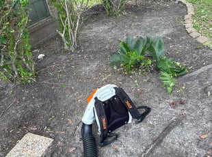 Weeding by Cecilia Dela Fuente for Tryna S. in Houston, TX