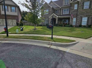 Patrick S.'s Grass Cutting service result