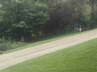 Vamshi S.'s Lawn Mowing Service service result