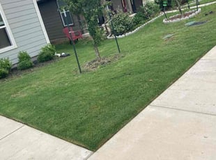 William C.'s Lawn Service service result