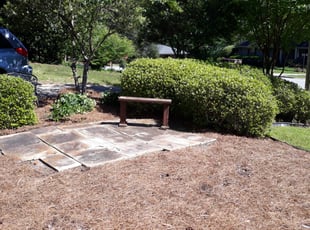 Bush Trimming by Vintrez Hobbs for Whitney G. in Decatur, GA